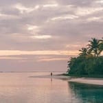 Mauricio Soria avatar